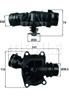 Термостат BMW 7 (E38) 3.0D 98-01  X5 (E53) 3.0D 01-06