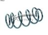 Пружина пер.NISSAN Qashqai/+2 I J10+NJ10+JJ10E 1,5DCI-2,0 +4x4