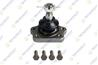N195(K) 401109X502 NISSAN CABSTAR (F24M, F24W) 28.11 DCI, ш