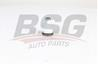 BSG