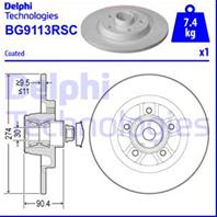 Brake disk with bearing