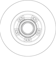 Brake disk with bearing