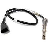 Exhaust fumes temperature sensor