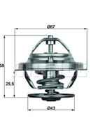 Thermostat insert