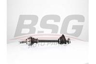 BSG