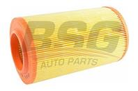 BSG 70-135-003_фильтр воздушный! Citroen Jumper/Relay  Fiat Ducato  Peugeot Boxer 2.2/2.3/3.0 06&gt