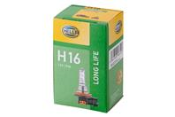 H16 light bulb