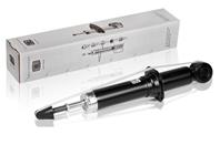 Амортизатор задний газовый AG19501 от компании TRIALLI