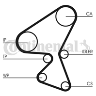 К-кт ГРМ [137 зуб. 25.4mm] + 2 ролика CITROEN C3/C4/C5  FORD Focus  MAZDA 3  PE