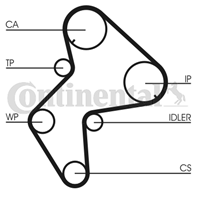 5248xs ремень грм citro/peuge 2.1d 87-95/ford 2.0