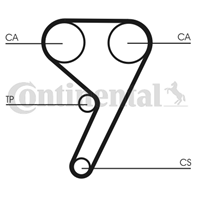 К-кт ГРМ [117 зуб. 22mm] + ролик FORD Fiesta V/VI/Fusion/Focus II/III/Mondeo IV