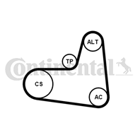 Ct-6pk995k1_ремкомплект приводного ремня! skoda f