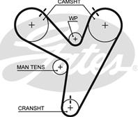 Engine Timing Belt