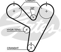 Engine Timing Belt